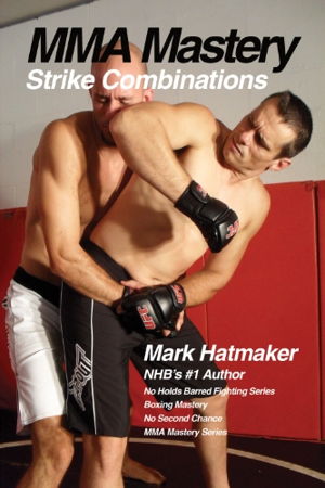 Cover art for MMA Mastery Strike Combinations
