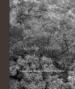 Cover art for Visible / Invisible
