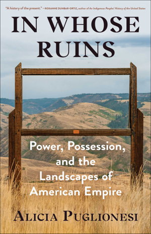 Cover art for In Whose Ruins