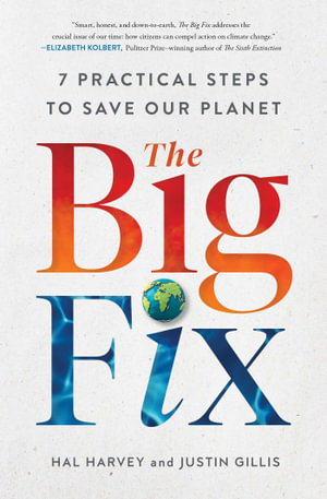 Cover art for The Big Fix