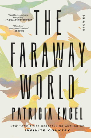 Cover art for Faraway World