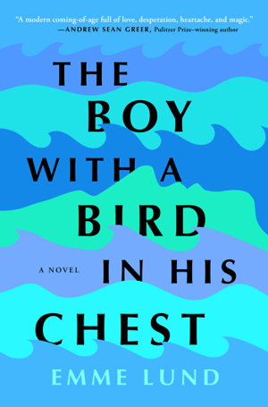 Cover art for Boy with a Bird in His Chest