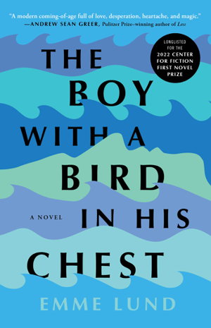 Cover art for The Boy with a Bird in His Chest