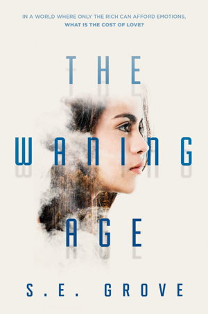 Cover art for The Waning Age