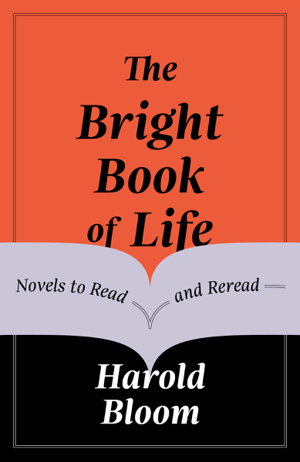 Cover art for Bright Book of Life