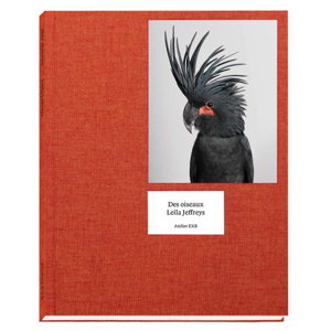 Cover art for Leila Jeffreys Des oiseaux Atelier EXB