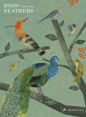 Cover art for Birds and their Feathers
