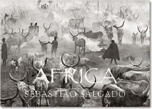 Cover art for Africa