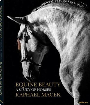 Cover art for Equine Beauty