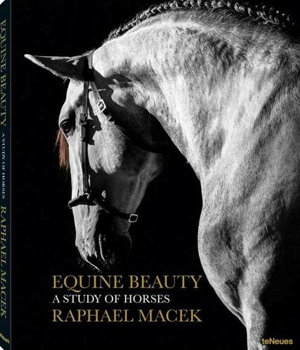 Cover art for Equine Beauty a Study of Horses