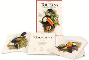 Cover art for Family of Toucans