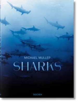 Cover art for Michael Muller. Sharks