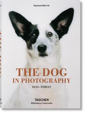 Cover art for The Dog in Photography 1839-Today