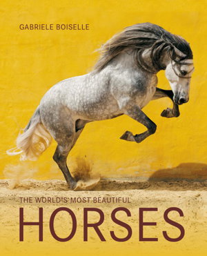 Cover art for World's Most Beautiful Horses