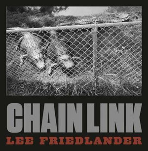 Cover art for Chain Link