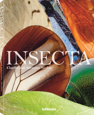 Cover art for Insecta