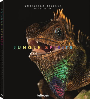 Cover art for Jungle Spirits