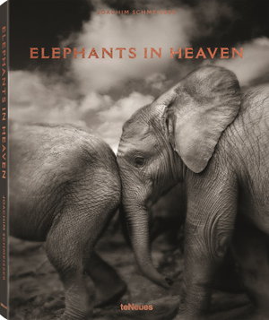 Cover art for Elephants in Heaven