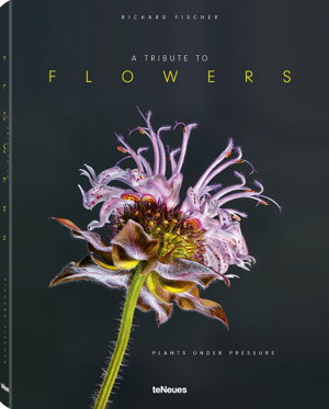 Cover art for A Tribute to Flowers