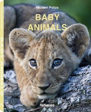 Cover art for Baby Animals