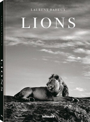 Cover art for Lions