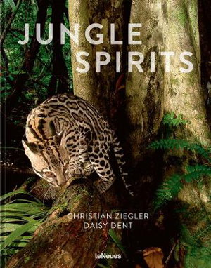 Cover art for Jungle Spirits