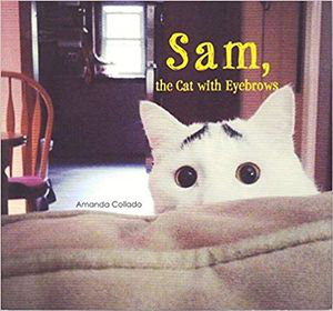 Cover art for Sam, the Cat with Eyebrows