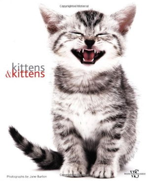 Cover art for Kittens & Kittens