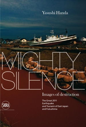 Cover art for Mighty Silence Images of Destruction