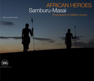 Cover art for African Heroes
