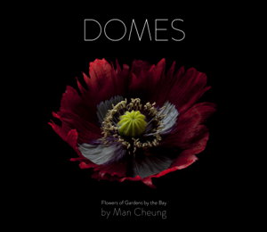 Cover art for Domes