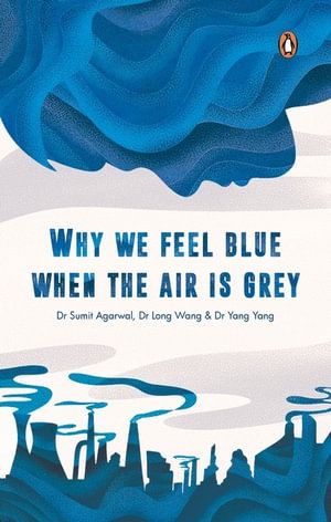 Cover art for Why We Feel Blue When The Air Is Grey